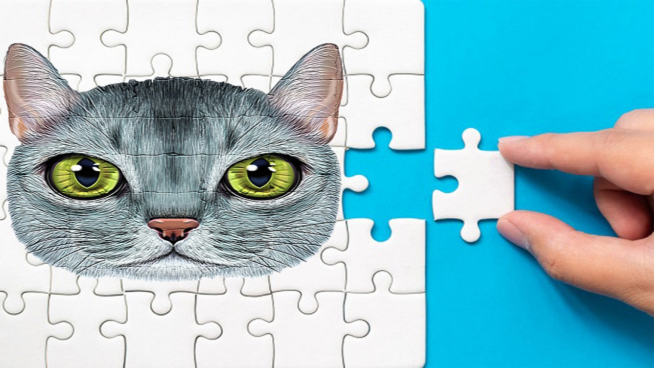 Play Abyssinian Puzzle Challenge Now Free Online