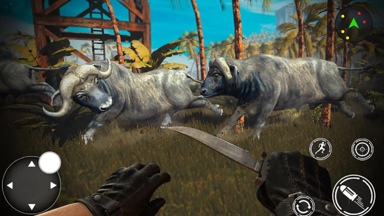 Play Animal Safari Hunter 2020 Free Game Online