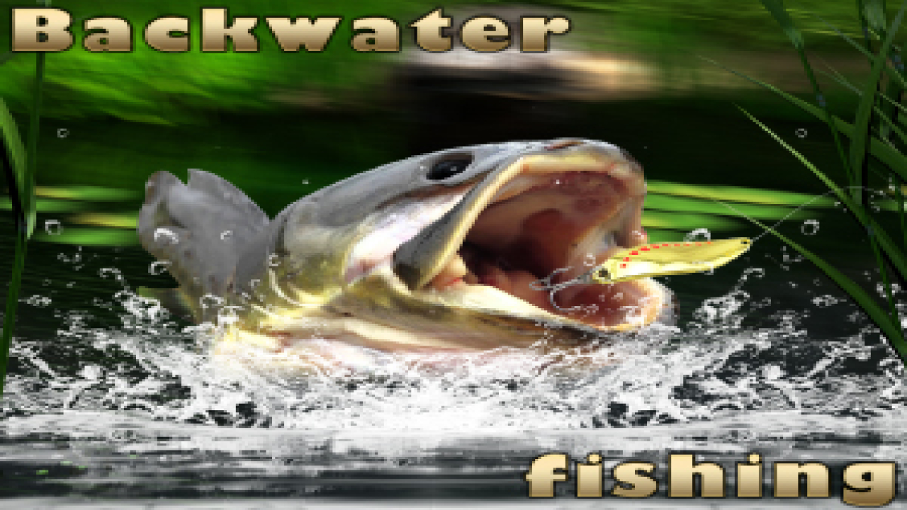 Free Play Backwater Fishing iOS Game Online