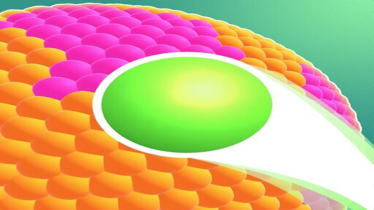 Play Ball Paint 3D Phone Game Mobile Now