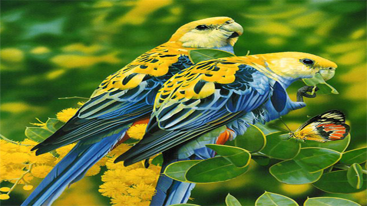 Play Birds Puzzle Game For Free Online