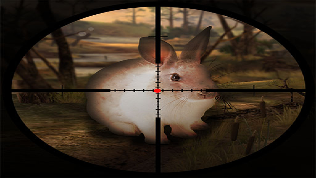 Play Classical Rabbit Sniper Hunting 2019 Free Online No Login