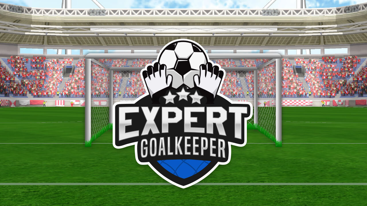 Play Expert Goalkeeper Free Browser Game Now