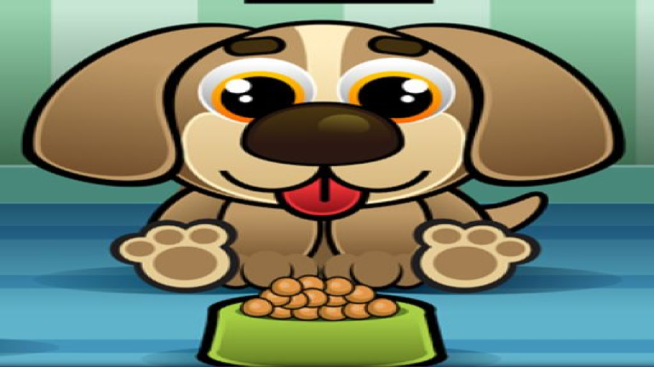Free Feed My Pet Dog Numbers Online Mobile Play