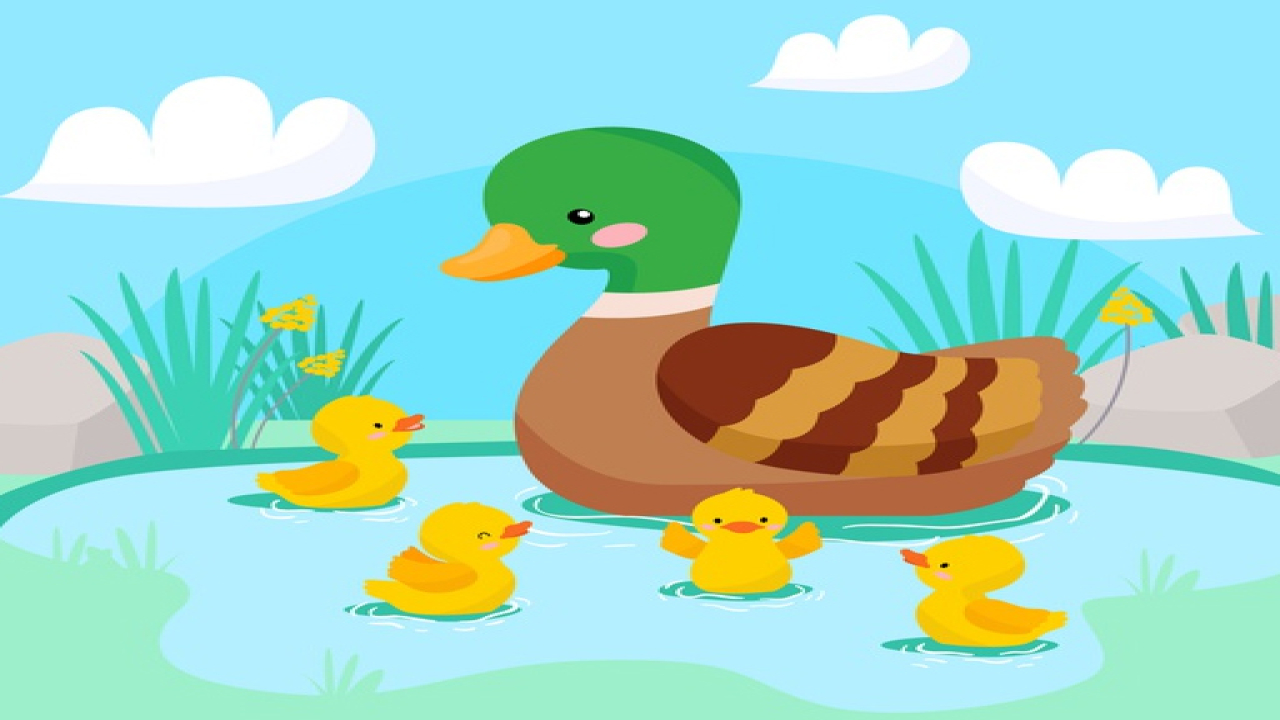 Play Mother Duck and Ducklings Jigsaw Free Online No Login