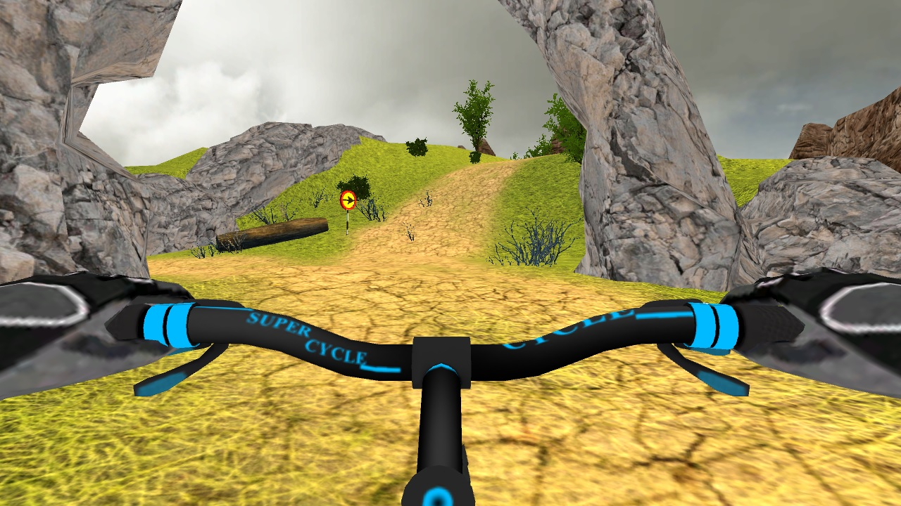 Free Play Offroad Bicycle Online Games