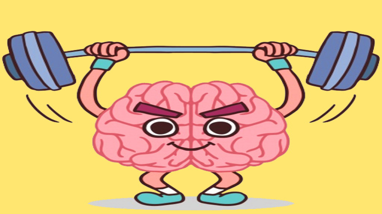 Play Free Perfect Brain 3D Game No Login