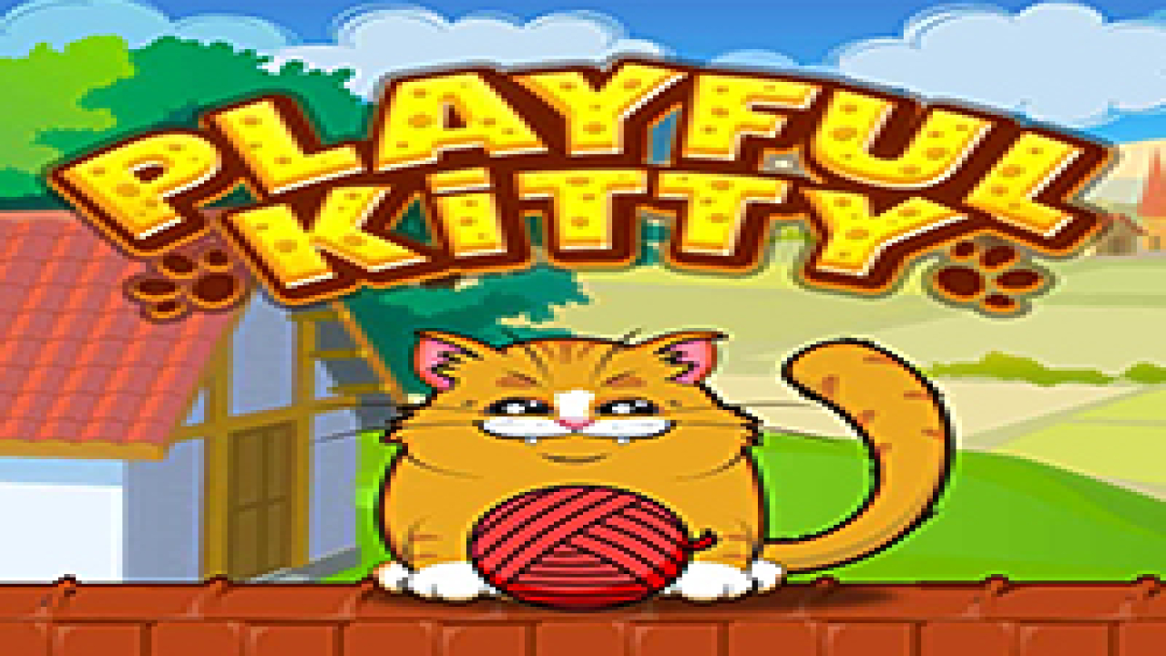 Free Playful Kitty Game Games Online