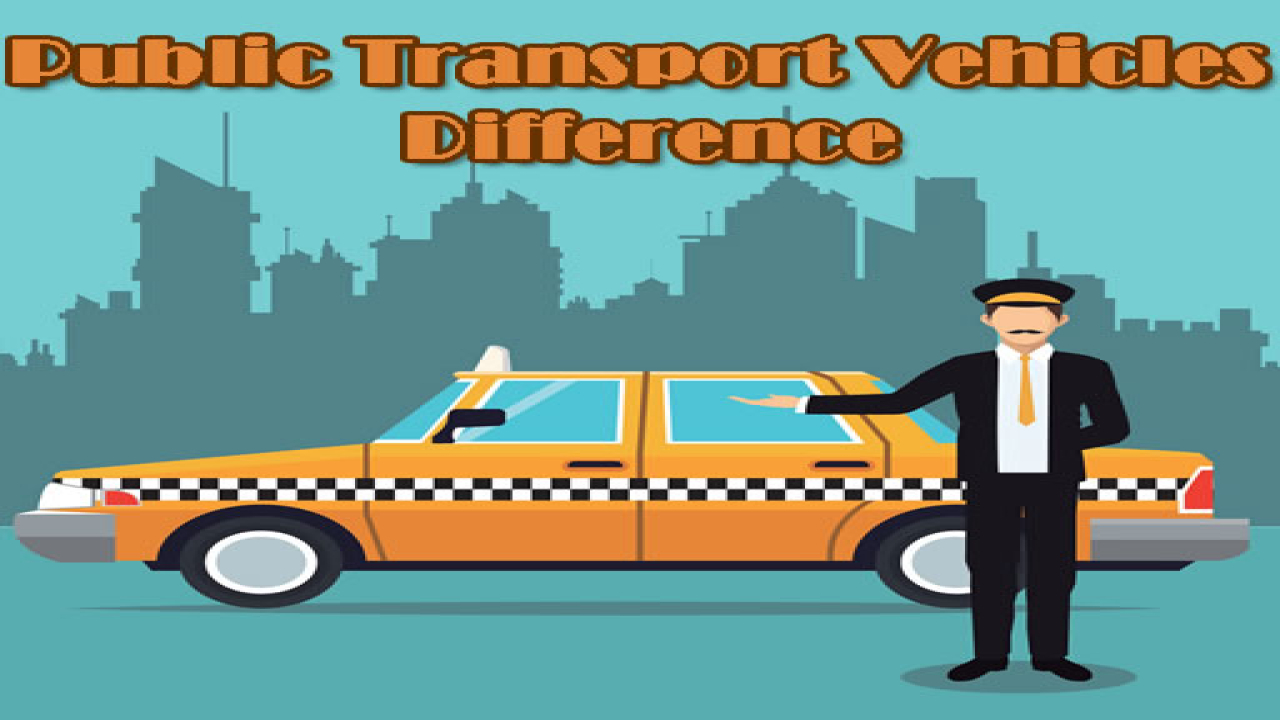 Play Public Transport Vehicles Difference Free Online Game Now