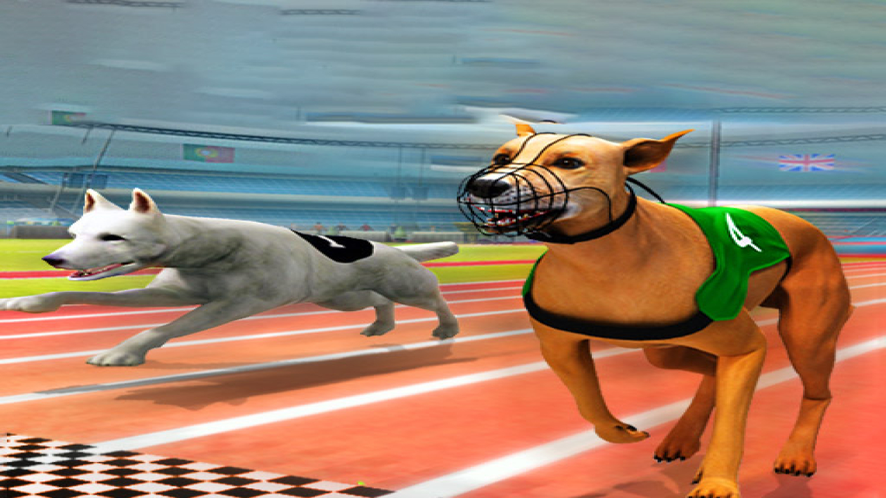 Free Online Games Real Dog Racing Simulator 3D Play Now