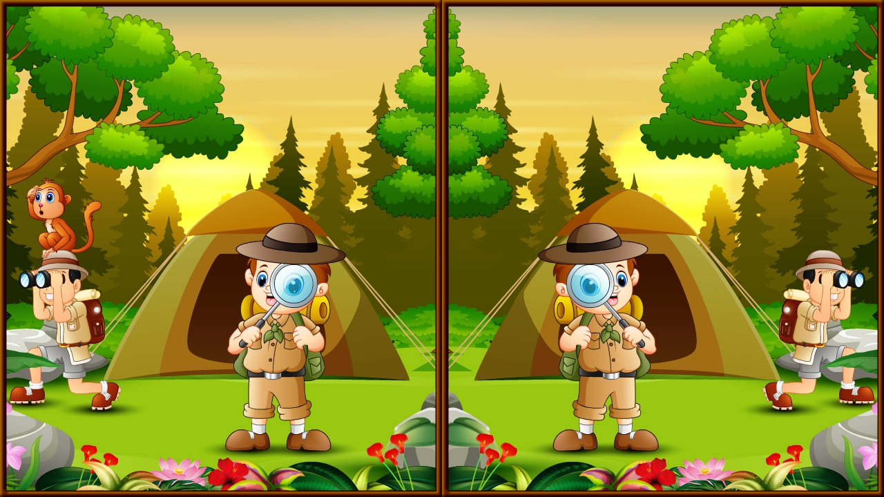 Free Spot 5 Differences Camping Online Android