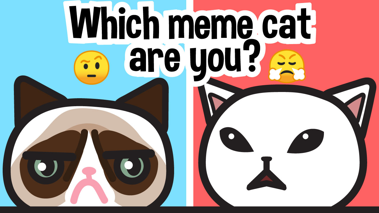 Play Which meme cat are you? Game iOS Free Online