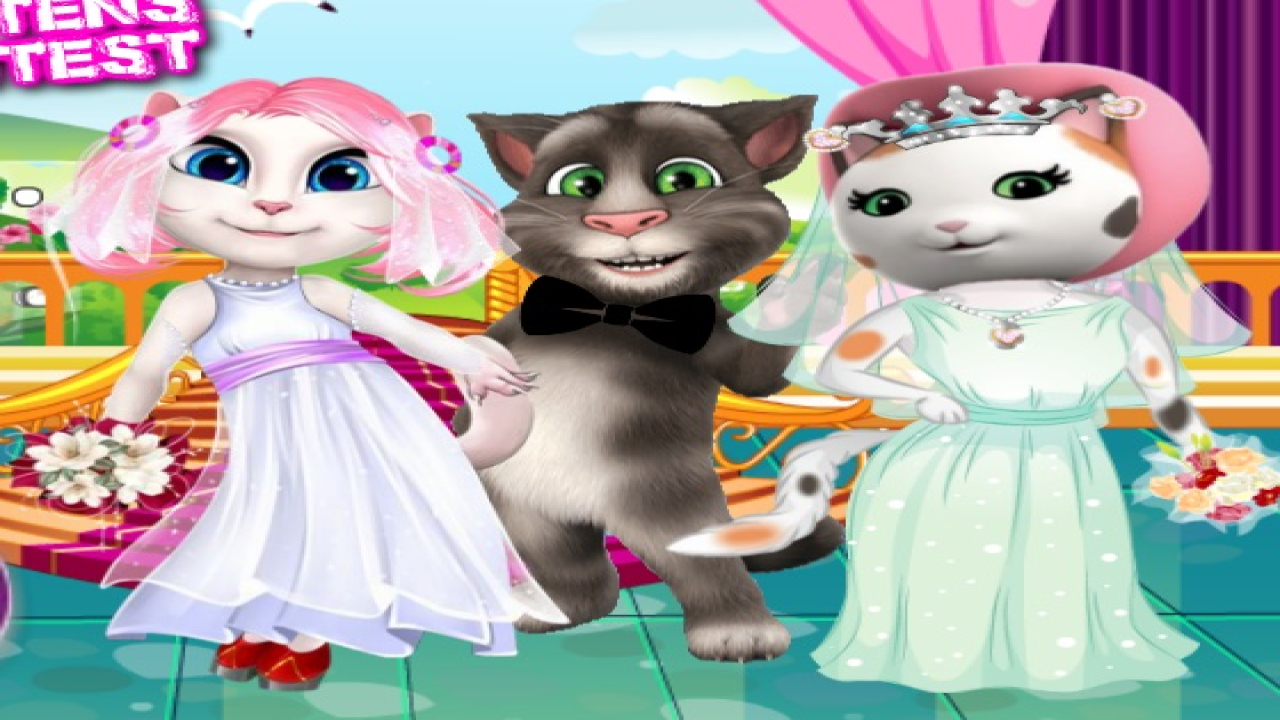 Play White Kittens Bride Contest Free Game Online PC