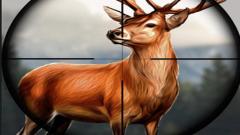 Free Animal Safari Hunter 2020 Mobile Play Now