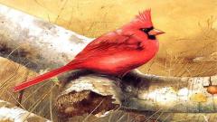 Play Art Birds Puzzle Free Game For PC Now