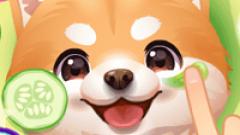 Play ASMR Pet Treatment Game Free No Login PC