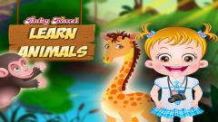 Play Baby Hazel Learn Animals Free Game iOS Online