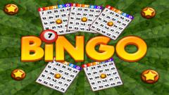 Play Bingo Revealer Free Game iOS Online