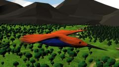 Free Bird Simulator Games Now Online