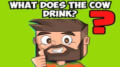Free Play Brain IQ test Minecraft Quiz iOS Game Now