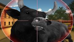 Play Bull Shooting For Free Online