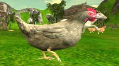 Play Chicken Shooter Free Desktop Game
