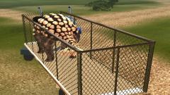 Free Dino Transport Truck Mobile Game Play Instantly