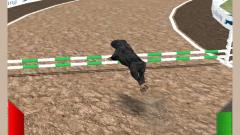 Play Free Dog Racing Simulator Desktop Online Game