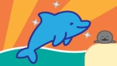 Dolphin Dash - Play Now