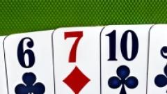 Play Free Durak Desktop Game