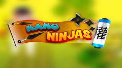 Free EG Ninja Run Game Online Now