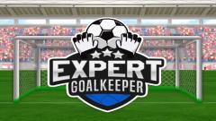 Play Expert Goalkeeper Mobile Game Instantly