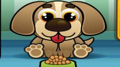 Free Feed My Pet Dog Numbers Game Play Online No Login