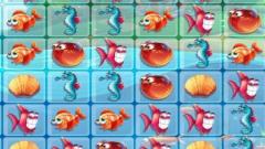 Play Fish World Match3 Mobile Game Play Free