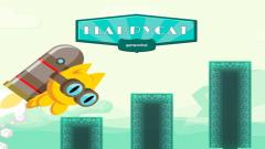 Play Free Flappy Cat Desktop Online Game
