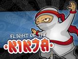 Free Flight Of The Ninja Game To Play Online Now