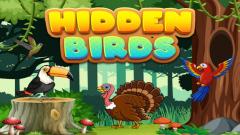 Free Online Play Hidden Birds Now