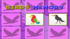 Play Kids Memory with Birds Now Free No Login