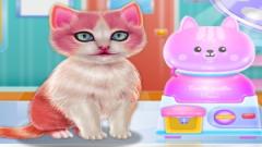 Free Kitty Dental Caring Game Online No Download