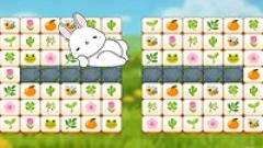 Mojicon Spring Connect - Play Now