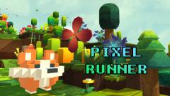 Free Pixel Runner (2814) Game No Login