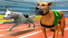 Play Free Real Dog Racing Simulator 3D PC Game Online
