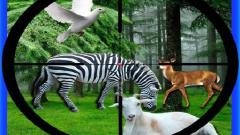 Free Real Jungle Animals Hunting Game Play Online No Login