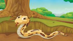 Play Scary Reptiles Coloring Online Free Game Now