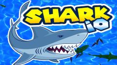 Play Shark io Game Online Now