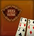 Free Spider solitaire (59cd) Game Desktop Online