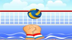Free Volley ball Game Online Now