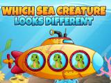Play Which Sea Creature Looks Different Game Free Mobile Now