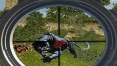 Free Wild Hunt: Jungle Sniper Shooting Online Laptop Game