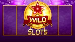 Play Wild Slot Free Game Online